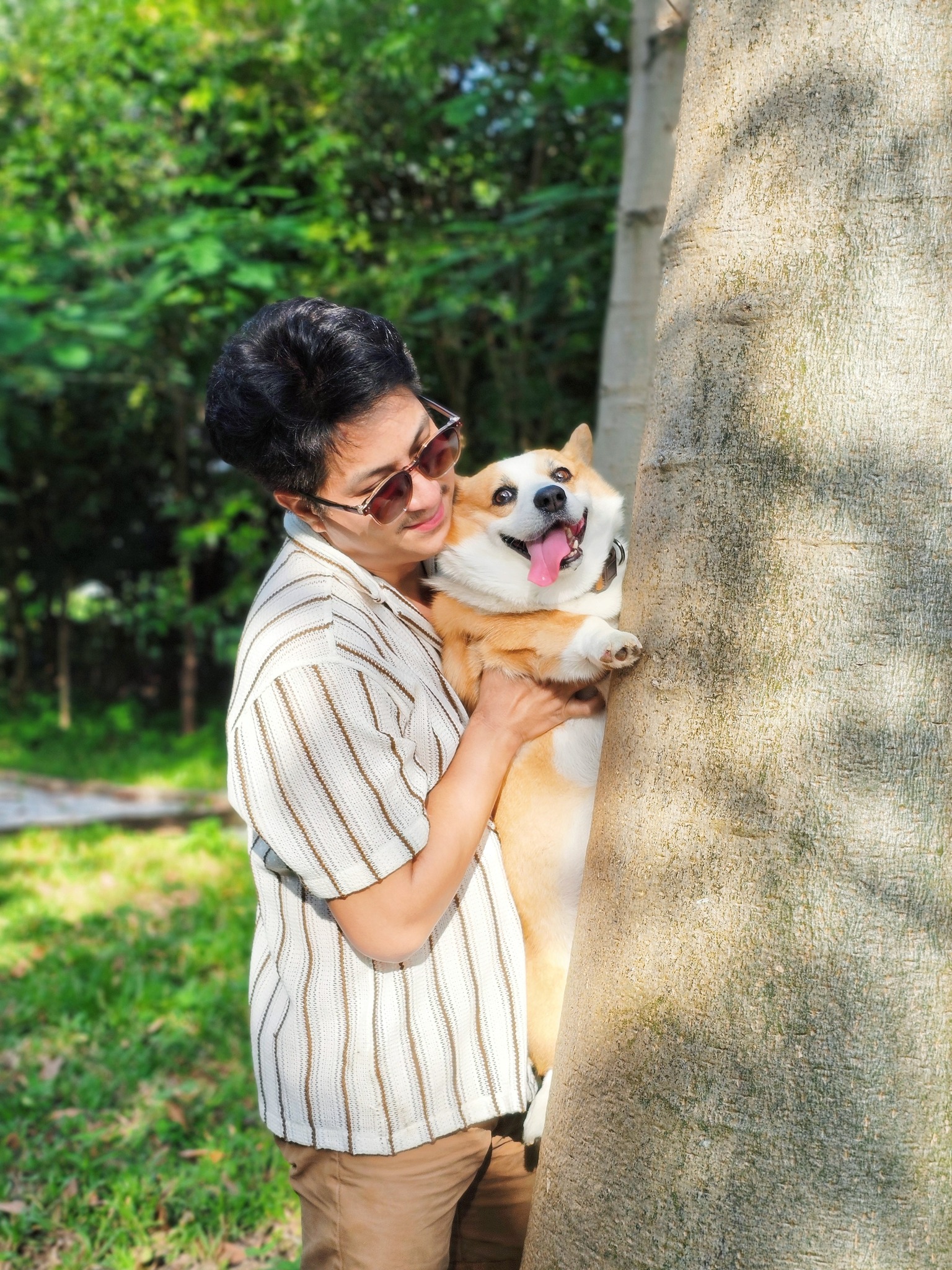 Corgi at Eco Eyes