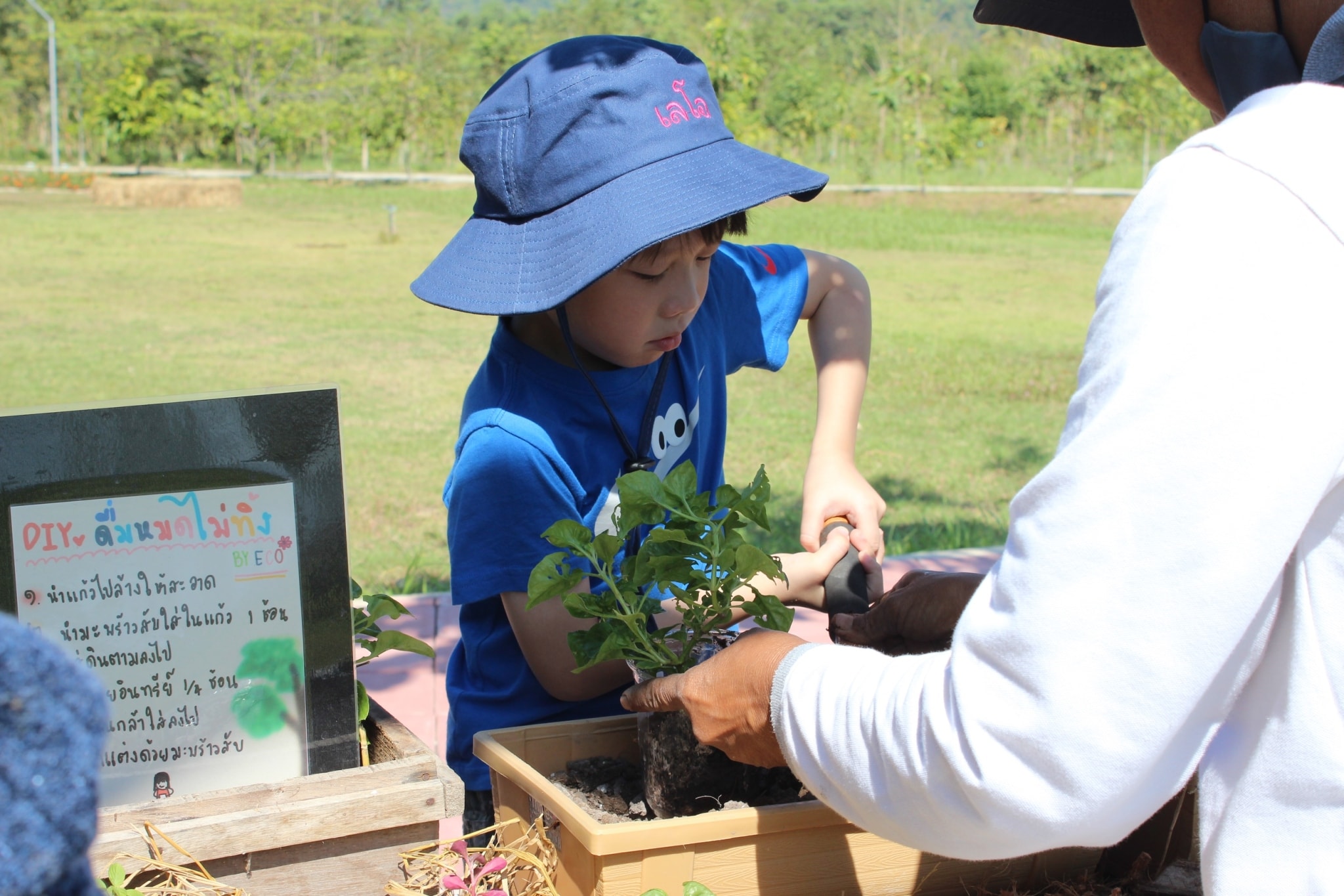 Nature Classroom