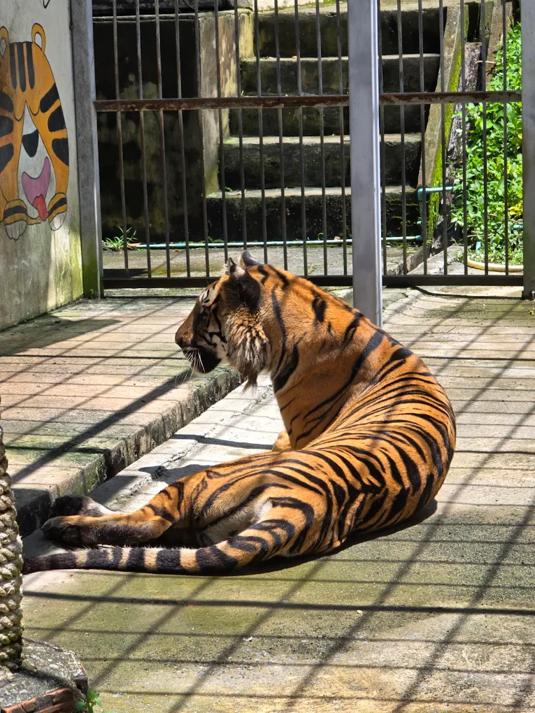 Wildlife Rescue Centre Nakhon Nayok