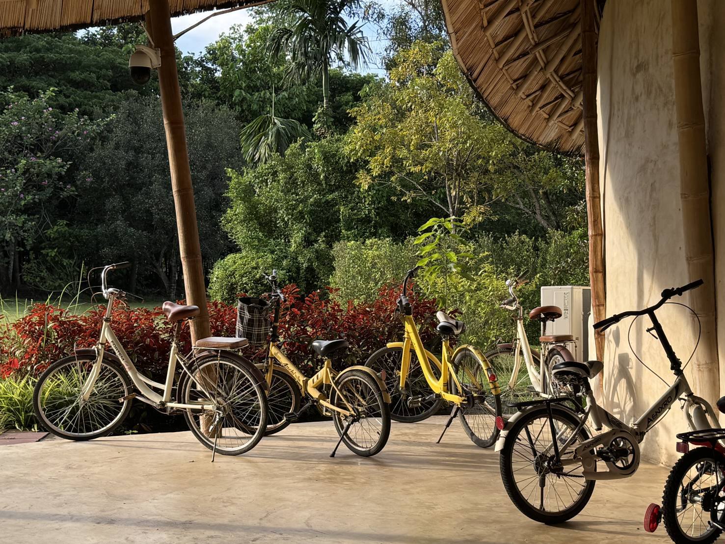 Bike Rental