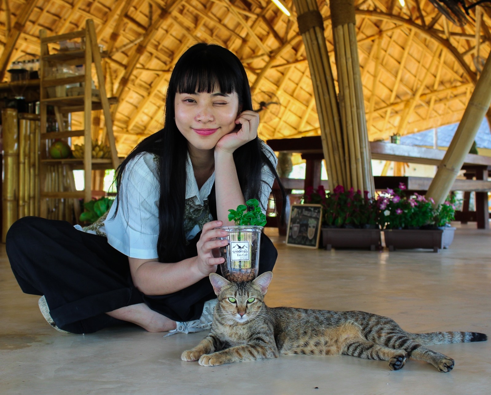 Pets at Eco Eyes Village