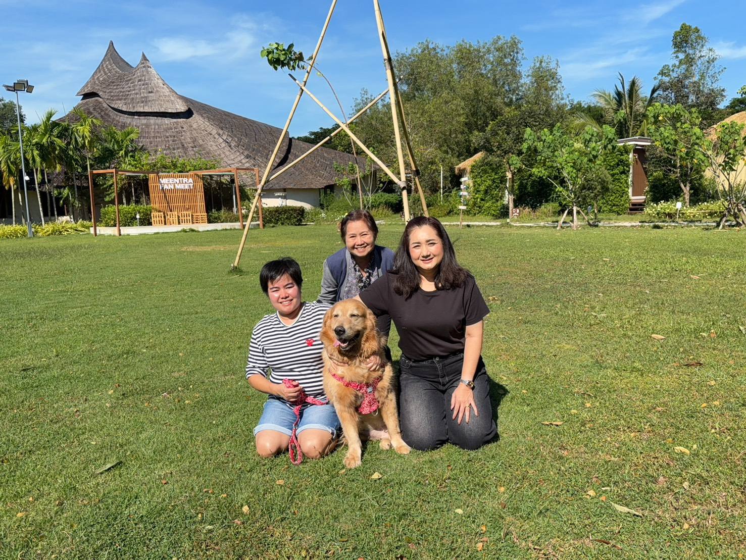 Pet at Eco Eyes