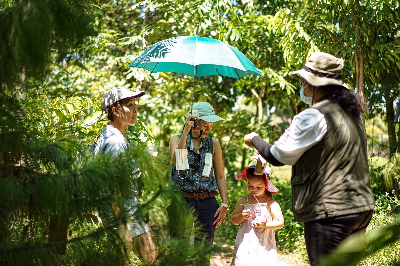 Tree Planting